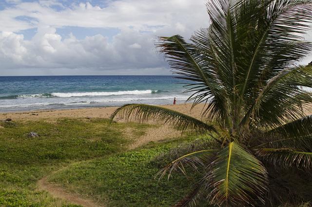 65 Guadeloupe, Les Saintes.jpg